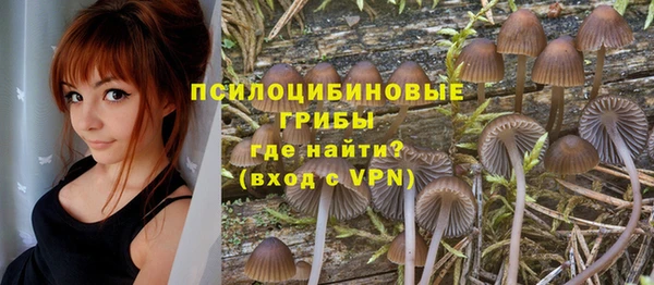 MESCALINE Алзамай