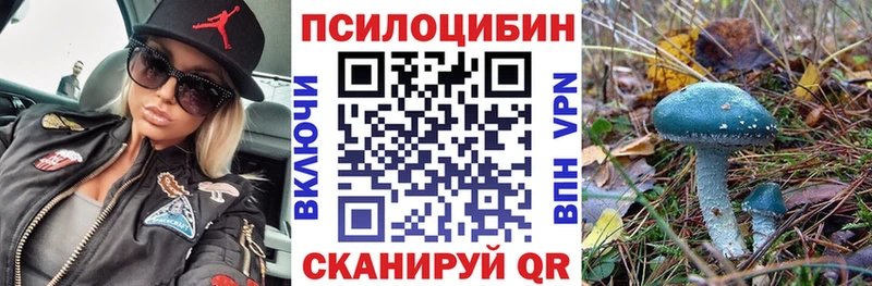 Псилоцибиновые грибы мухоморы  наркошоп  omg рабочий сайт  Качканар 
