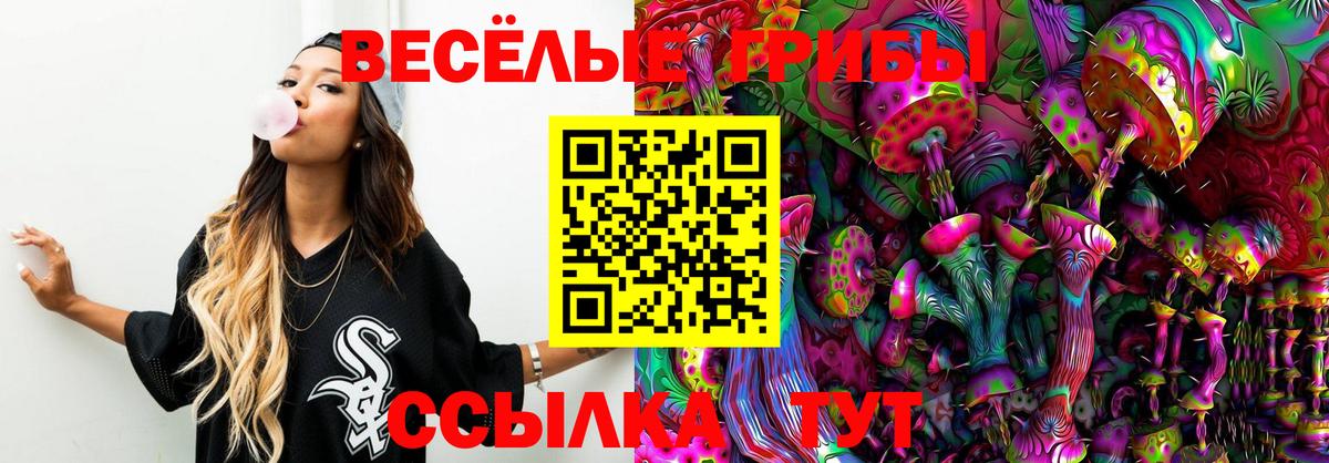 Галлюциногенные грибы мухоморы Качканар