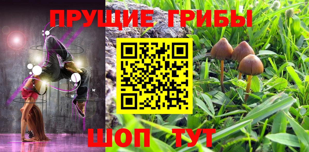 даркнет сайт  Галлюциногенные грибы прущие грибы  Вход с VPN  Качканар 